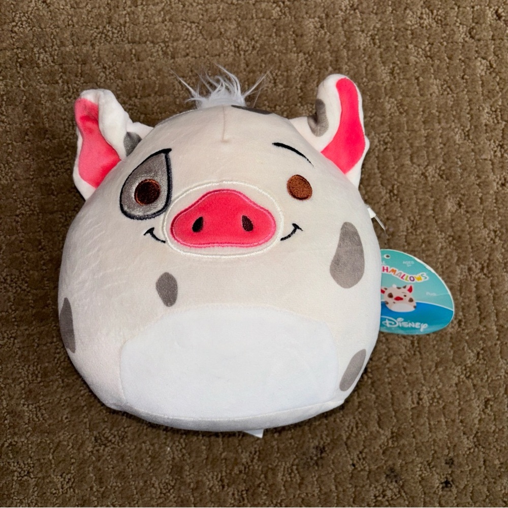 Disney Moana Pua Plush Toy Squishmallows NEW